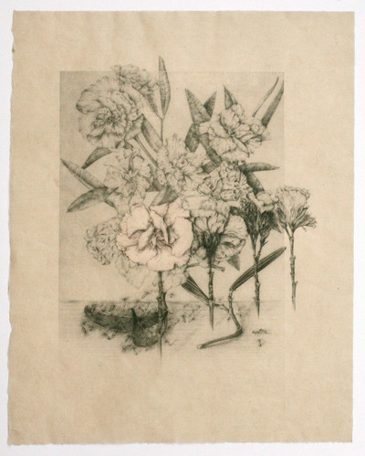 Marta Chirino | Nerium Oleander