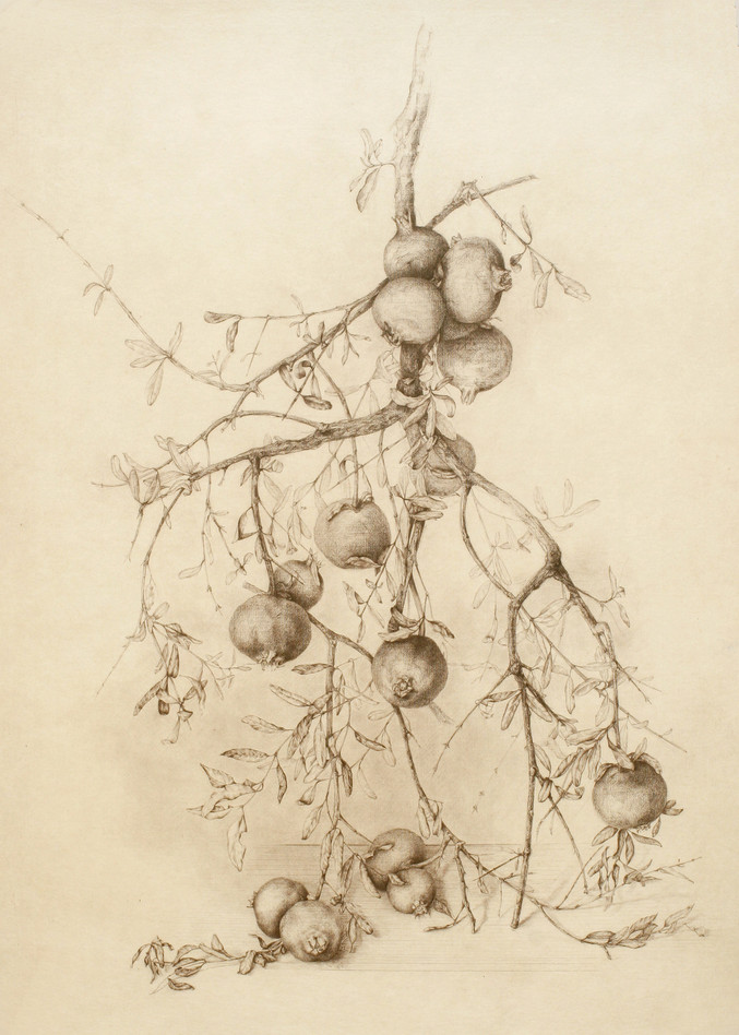 Marta Chirino | Ramas de granado Marta Chirino | Ramas de granado