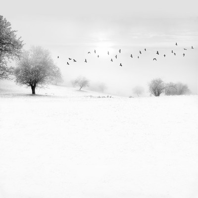 Andy Sotiriou | Snowscape 11