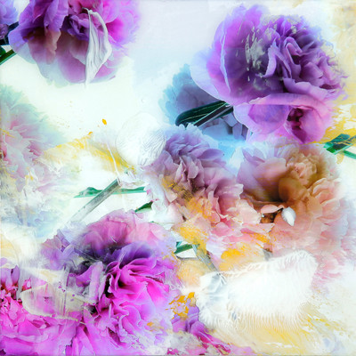 Xurxo Gómez-Chao | Bouquet XVIII