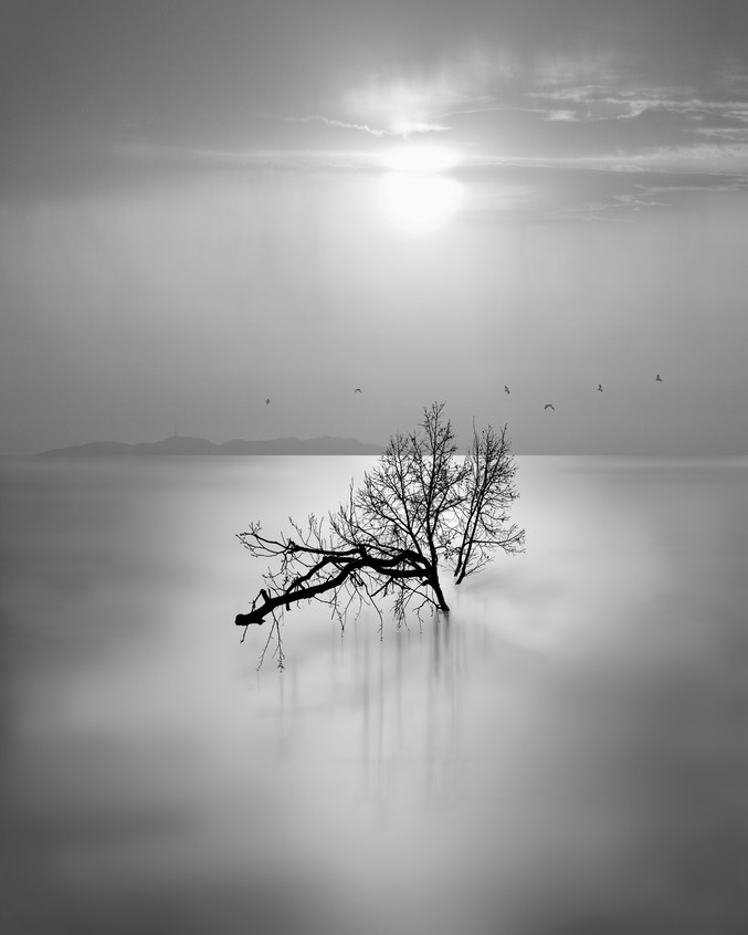 Andy Sotiriou | Water series III Andy Sotiriou | Water series III