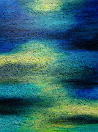 Carmen Baena | Atardecer del viento II