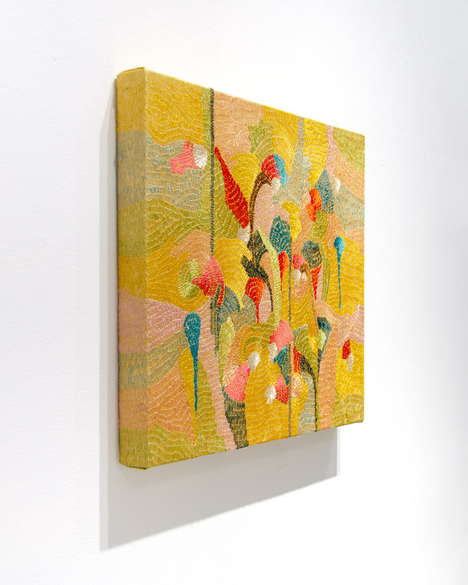 Carmen Baena | El jardín florece XII