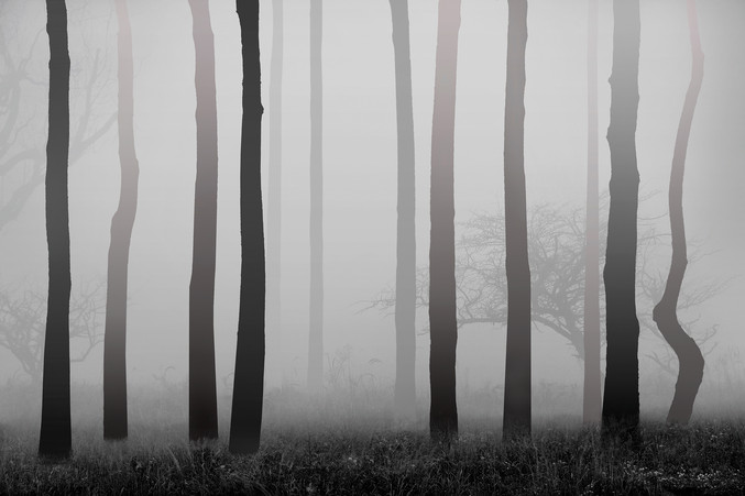 Andy Sotiriou | Mist series #02 Andy Sotiriou | Mist series #02