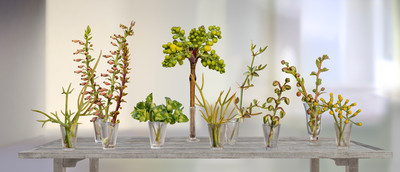 Leticia Felgueroso | Un jardín en una mesa