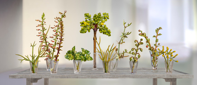 Leticia Felgueroso | Un jardín en una mesa