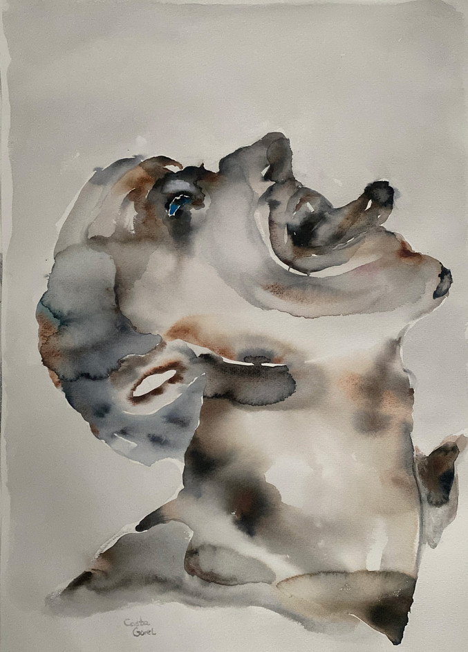 Costa Gorel | Lengua I