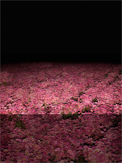 Xurxo Gómez-Chao | Campo de Cor I (The new colour field)