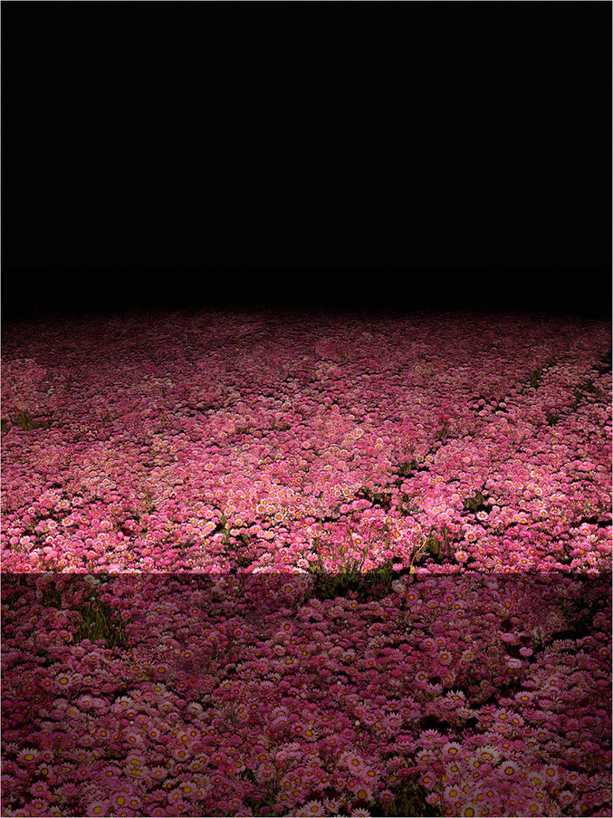 Xurxo Gómez-Chao | Campo de Cor I (The new colour field)