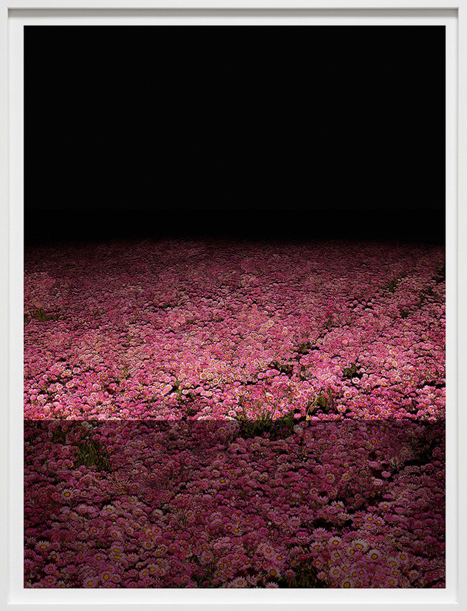 Xurxo Gómez-Chao | Campo de Cor I (The new colour field)